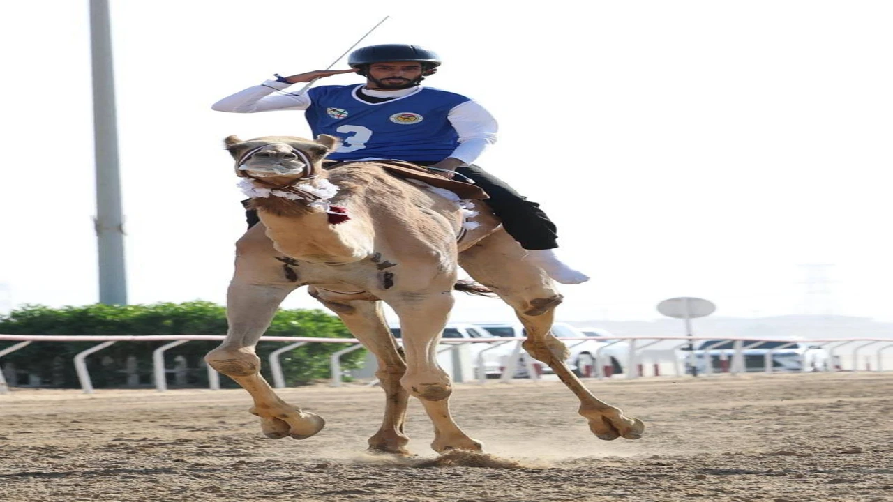 راشد الكعبي: السعي المستمر نحو منصات تتويج الهجن